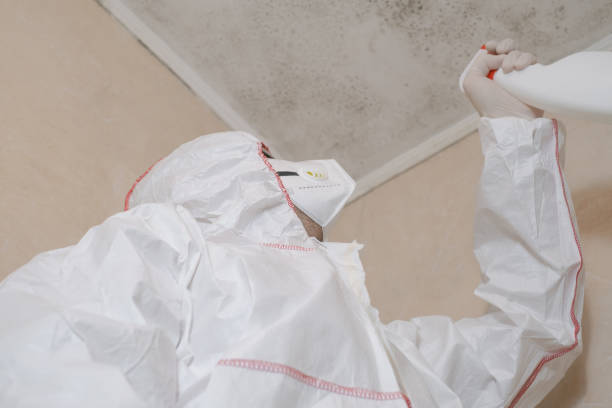 Crawl Space Mold Removal in Forest Hill, TX