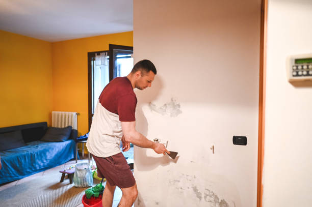 Best Home Mold Removal  in Forest Hill, TX