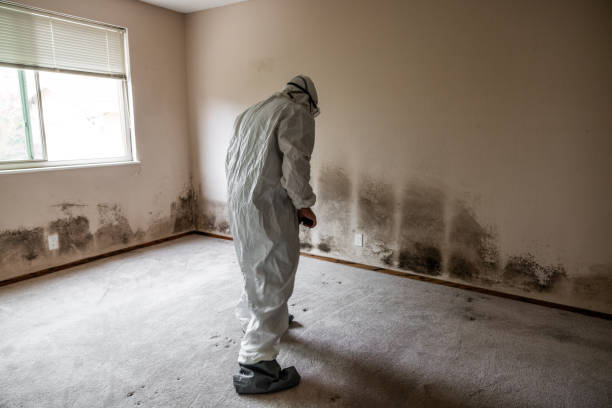 Best Mold Testing  in Forest Hill, TX